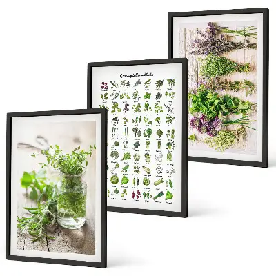 Gerahmtes Set aus getrockneten Küchenkräutern dekorative Bilder für die Küche