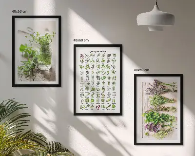 Gerahmtes Set aus getrockneten Küchenkräutern dekorative Bilder für die Küche