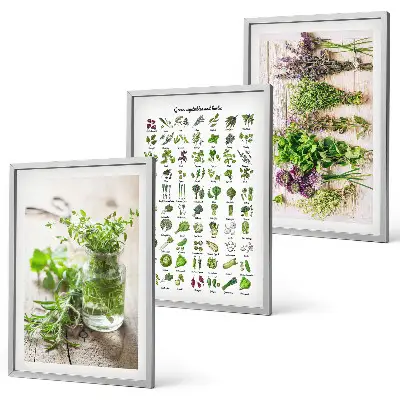 Gerahmtes Set aus getrockneten Küchenkräutern dekorative Bilder für die Küche