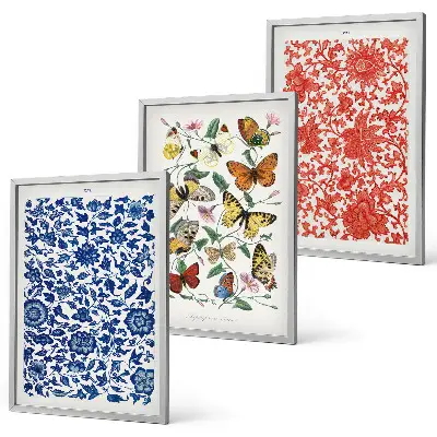 Bilder-Set mit Vintage-Blumen- und Schmetterlingsmotiven gerahmt