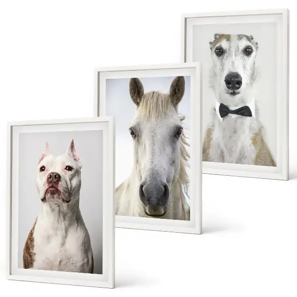 Gerahmtes Bilderset mit eleganten Porträts von Hunden und Pferden