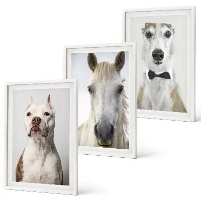 Gerahmtes Bilderset mit eleganten Porträts von Hunden und Pferden