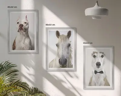 Gerahmtes Bilderset mit eleganten Porträts von Hunden und Pferden