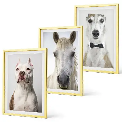 Gerahmtes Bilderset mit eleganten Porträts von Hunden und Pferden