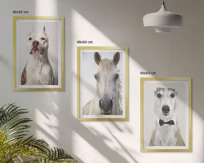 Gerahmtes Bilderset mit eleganten Porträts von Hunden und Pferden