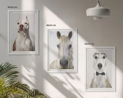 Gerahmtes Bilderset mit eleganten Porträts von Hunden und Pferden