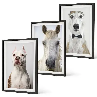 Gerahmtes Bilderset mit eleganten Porträts von Hunden und Pferden