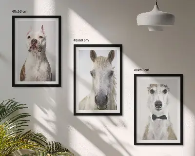 Gerahmtes Bilderset mit eleganten Porträts von Hunden und Pferden