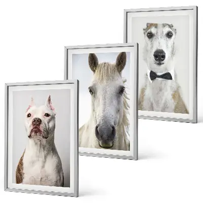 Gerahmtes Bilderset mit eleganten Porträts von Hunden und Pferden