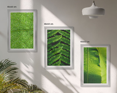 Gerahmtes bilderset Makrofotografie von tropischen Blättern