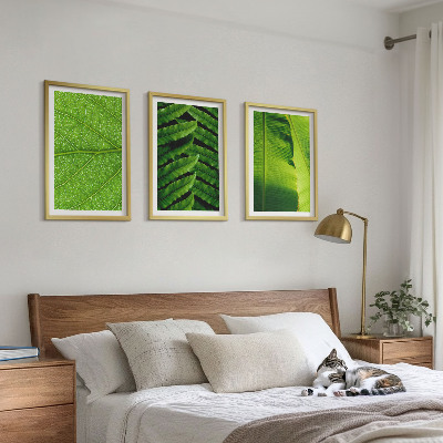 Gerahmtes bilderset Makrofotografie von tropischen Blättern