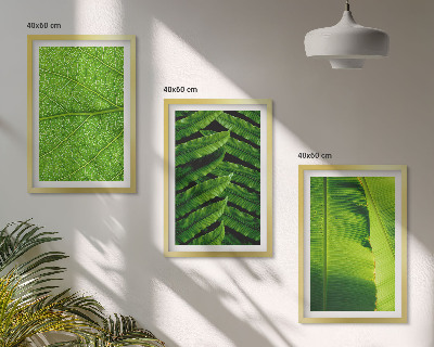 Gerahmtes bilderset Makrofotografie von tropischen Blättern