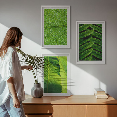 Gerahmtes bilderset Makrofotografie von tropischen Blättern
