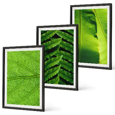 Gerahmtes Bilderset mit Makrofotografie von tropischen Blättern