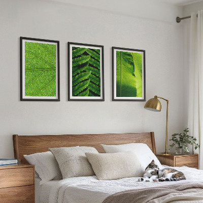 Gerahmtes bilderset Makrofotografie von tropischen Blättern