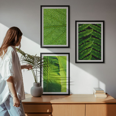 Gerahmtes bilderset Makrofotografie von tropischen Blättern