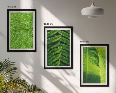 Gerahmtes bilderset Makrofotografie von tropischen Blättern