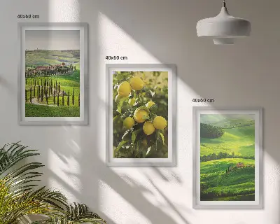 Bilder-3er-Set mit Rahmen mit Motiv Italienische Zitrusfrüchte und Hügel