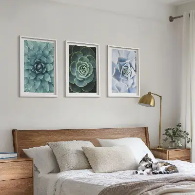 Sukkulente Pflanzen 3er-Set mit Rahmen grün türkis