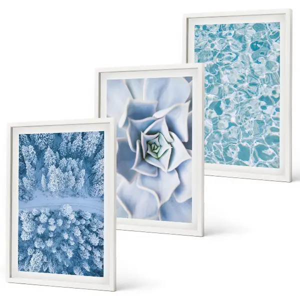 3er-Set Bilder mit Rahmen Winterwald mit blauer Blume und Wasser