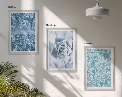 3er-Set Bilder mit Rahmen Winterwald mit blauer Blume und Wasser