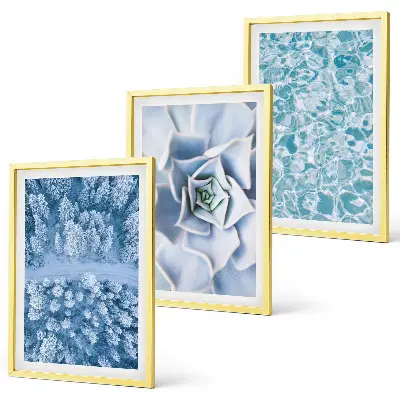 3er-Set Bilder mit Rahmen Winterwald mit blauer Blume und Wasser