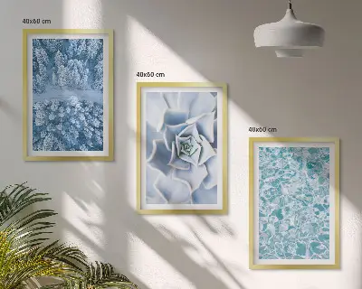3er-Set Bilder mit Rahmen Winterwald mit blauer Blume und Wasser