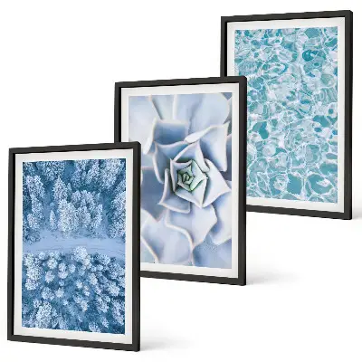 3er-Set Bilder mit Rahmen Winterwald mit blauer Blume und Wasser