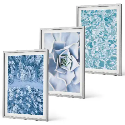 3er-Set Bilder mit Rahmen Winterwald mit blauer Blume und Wasser