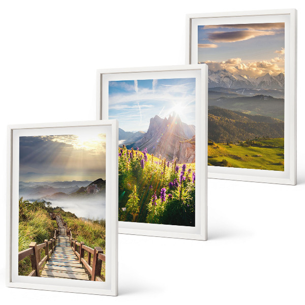 Bilder-3er-set mit rahmen Berglandschaft mit Blumen
