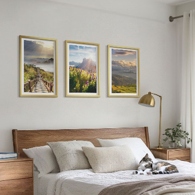 Bilder-3er-set mit rahmen Berglandschaft mit Blumen