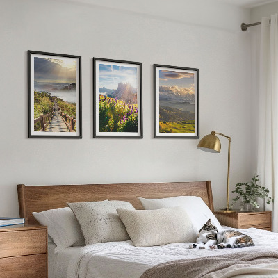 Bilder-3er-set mit rahmen Berglandschaft mit Blumen