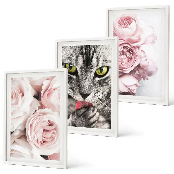 Gerahmtes Bilderset mit Motiv Katze in rosa Blumen