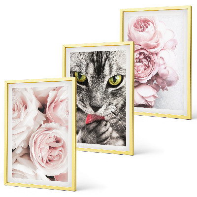 Gerahmtes bilderset Katze in rosa Blumen