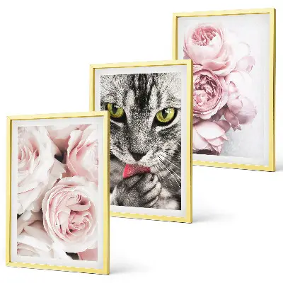 Gerahmtes Bilderset mit Motiv Katze in rosa Blumen