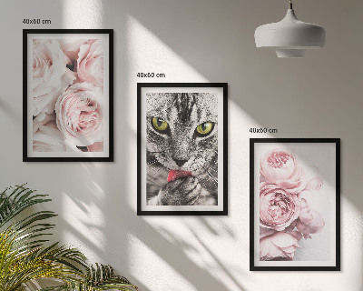 Gerahmtes bilderset Katze in rosa Blumen