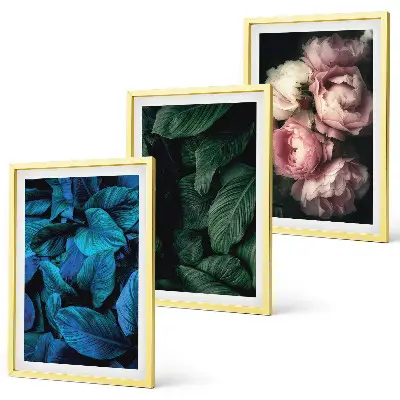 Gerahmtes Bilderset mit Motiven von Blättern und Blüten in verschiedenen Farben