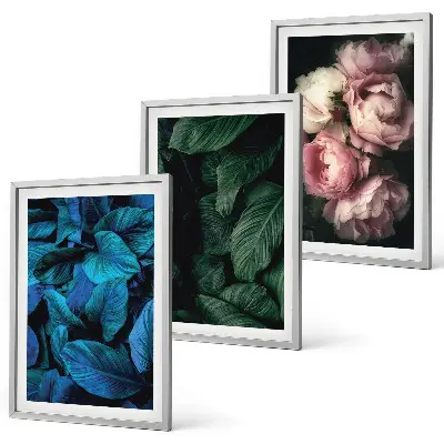 Gerahmtes Bilderset mit Motiven von Blättern und Blüten in verschiedenen Farben
