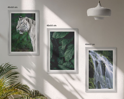 Bilder-3er-set mit rahmen Wasserfall aus weißen Tigerblättern
