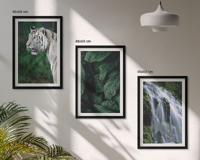 Bilder-3er-set mit rahmen Wasserfall aus weißen Tigerblättern