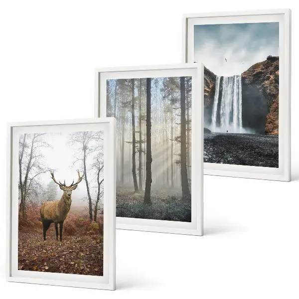 3er-Set Wandbilder mit Rahmen Motiv Waldlandschaften und wilde Natur