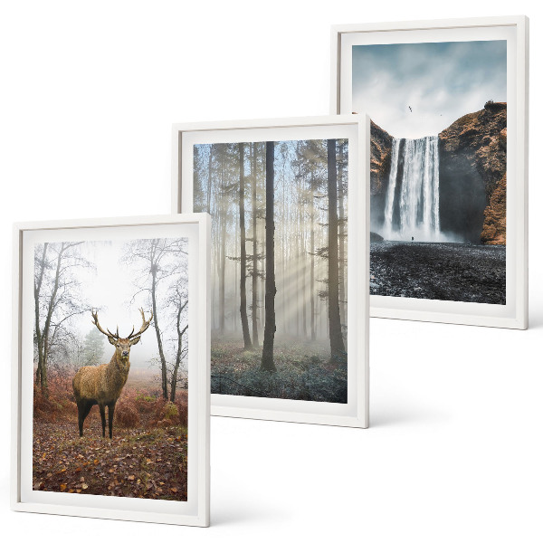 Bilder-3er-set mit rahmen Waldlandschaften, wilde Natur