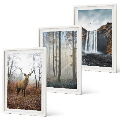 Bilder-3er-set mit rahmen Waldlandschaften, wilde Natur