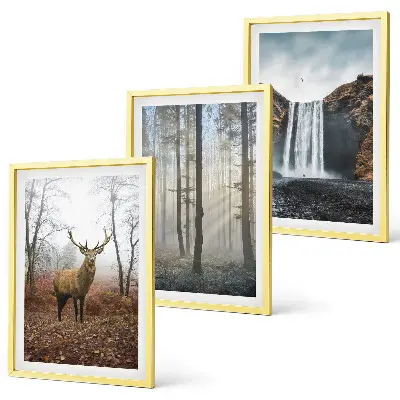 3er-Set Wandbilder mit Rahmen Motiv Waldlandschaften und wilde Natur