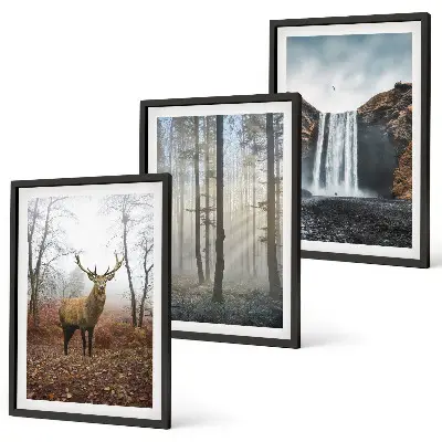 3er-Set Wandbilder mit Rahmen Motiv Waldlandschaften und wilde Natur
