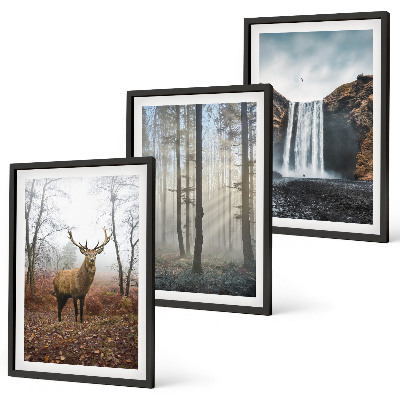 Bilder-3er-set mit rahmen Waldlandschaften, wilde Natur