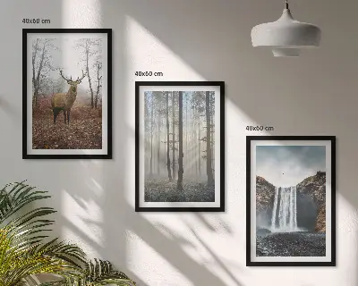 3er-Set Wandbilder mit Rahmen Motiv Waldlandschaften und wilde Natur