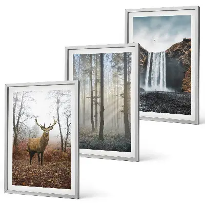 3er-Set Wandbilder mit Rahmen Motiv Waldlandschaften und wilde Natur