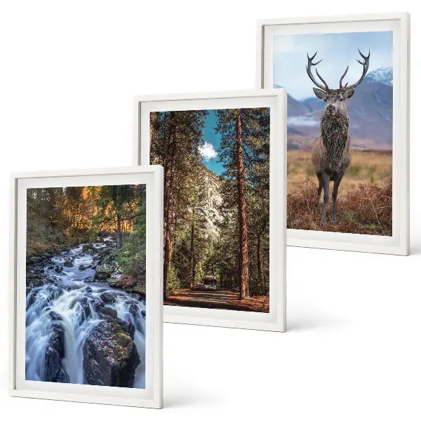 3er-Set Wandbilder mit Rahmen mit Motiv Wald, Wasserfall, Bergen und Hirsch