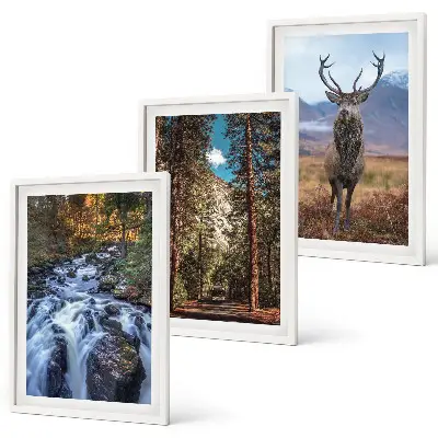 3er-Set Wandbilder mit Rahmen mit Motiv Wald, Wasserfall, Bergen und Hirsch